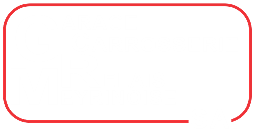 Logo Meyrinoise